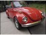 1973 Volkswagen Beetle Super Convertible for sale 101774263