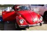 1973 Volkswagen Beetle Convertible for sale 101585817