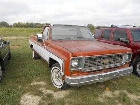 1974 Chevrolet C/K Truck Cheyenne for sale 101788902