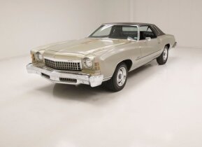 1974 Chevrolet Monte Carlo for sale 101973760