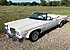 1974 Oldsmobile 88 Royale for sale 101232996
