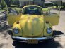 1974 Volkswagen Beetle Coupe for sale 101760616