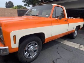 1975 Chevrolet C/K Truck for sale 101586497