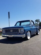 1975 Chevrolet C/K Truck for sale 101755503