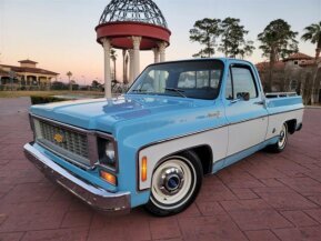 1975 Chevrolet C/K Truck Silverado for sale 101789704