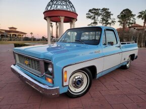 1975 Chevrolet C/K Truck Silverado for sale 101992569