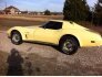 1975 Chevrolet Corvette for sale 101586262