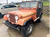 1975 Jeep Other Jeep Models