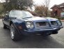 1975 Pontiac Firebird Esprit for sale 101438366