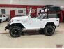 1975 Toyota Land Cruiser for sale 101814539