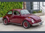 Thumbnail Photo 1 for 1975 Volkswagen Beetle