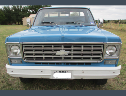 Photo 1 for 1976 Chevrolet C/K Truck C20 for Sale by Owner