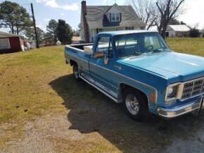 1976 Chevrolet C/K Truck for sale 101586392