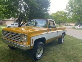 1976 Chevrolet C/K Truck for sale 101775106