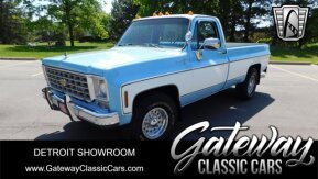 1976 Chevrolet C/K Truck for sale 101952735