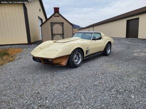 1976 Chevrolet Corvette for sale 101969400