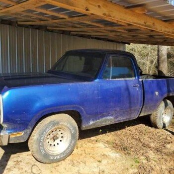 1976 Dodge D/W Truck