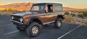 1976 Ford Bronco for sale 101947130
