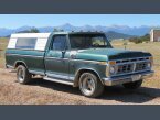 Thumbnail Photo 4 for 1976 Ford F150 2WD Regular Cab XL for Sale by Owner