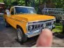 1976 Ford F150 for sale 101789203