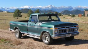 1976 Ford F150 2WD Regular Cab XL for sale 101943901