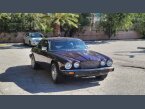 Thumbnail Photo 4 for 1976 Jaguar XJ6