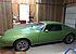 1976 Pontiac Firebird Coupe for sale 101260433