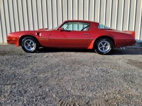 1976 Pontiac Firebird for sale 101653504