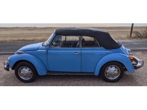 1976 Volkswagen Beetle for sale 101667073