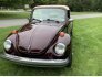 1976 Volkswagen Beetle Convertible for sale 101847389