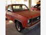 1977 Chevrolet C/K Truck for sale 101586272