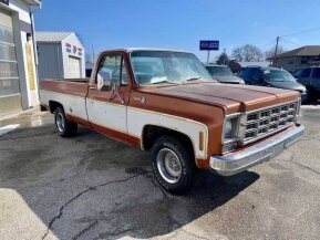 1977 Chevrolet C/K Truck for sale 101859036