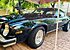 1977 Chevrolet Camaro for sale 101391272