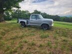 Thumbnail Photo 1 for 1977 Ford F100