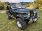 Thumbnail Photo 2 for 1977 Jeep CJ-7 for Sale by Owner