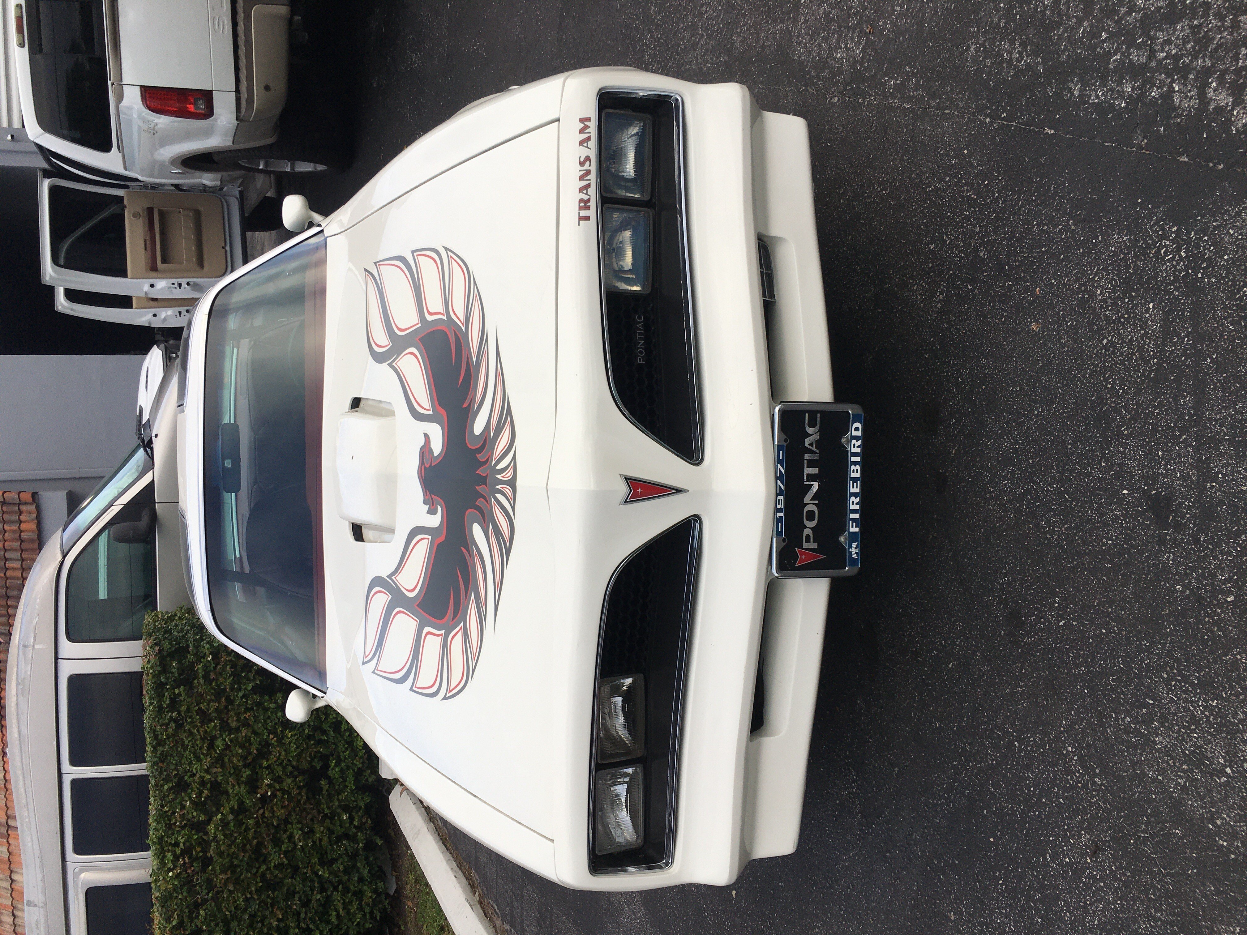 1977 Pontiac Firebird Trans Am for sale 101290906