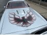 1977 Pontiac Trans Am for sale 101790955