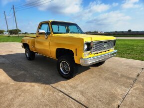 1978 Chevrolet C/K Truck for sale 101862721