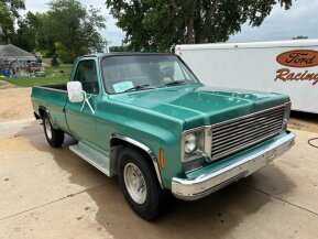 1978 Chevrolet C/K Truck Scottsdale for sale 101699724