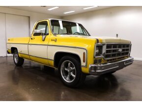1978 Chevrolet C/K Truck for sale 101723077