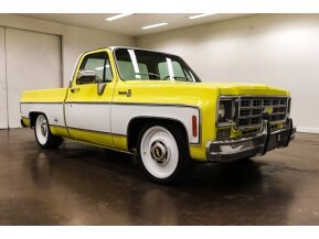 1978 Chevrolet C/K Truck for sale 101734134