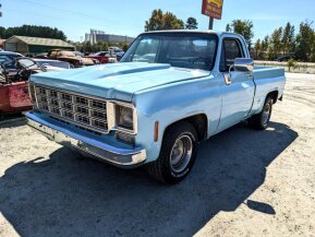 1978 Chevrolet C/K Truck for sale 101743775