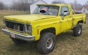 1978 Chevrolet C/K Truck for sale 101998944