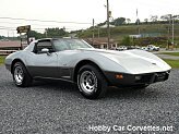 1978 Chevrolet Corvette for sale 101755436
