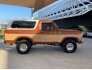 1978 Ford Bronco for sale 101848456