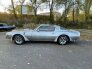 1978 Pontiac Firebird for sale 101671068