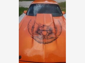 1978 Pontiac Firebird for sale 101700881