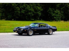 1978 Pontiac Firebird for sale 101738252