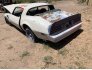 1978 Pontiac Firebird for sale 101756209