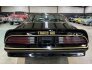 1978 Pontiac Trans Am for sale 101750612